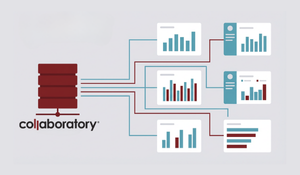 Visual depiction of Collaboratory's inbound and outbound API features